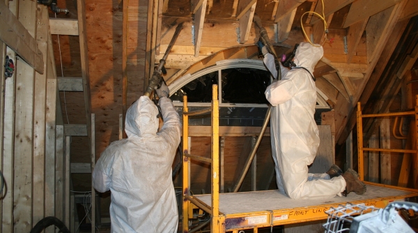 Mold Remediation Services