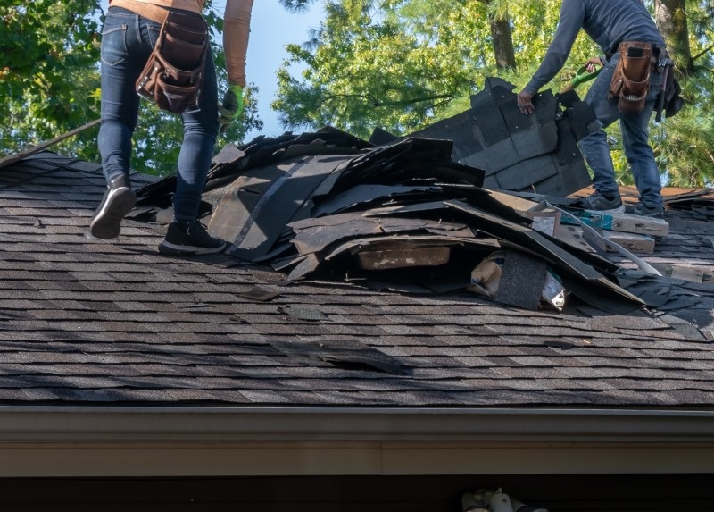 Shingle Damage Repair