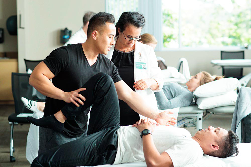physiotherapy & chiropractic